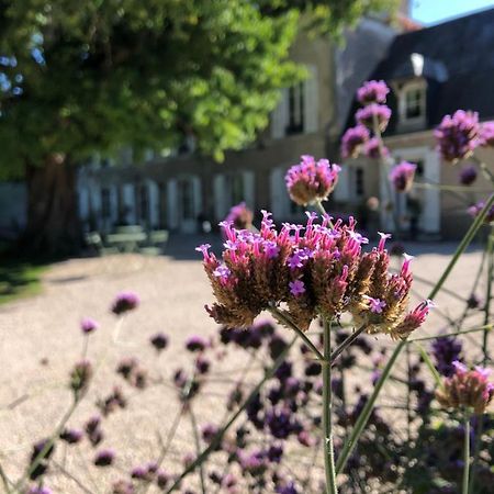 Domaine Saint-Hilaire Hotel เมิง-ซูร์-ลัวร์ ภายนอก รูปภาพ