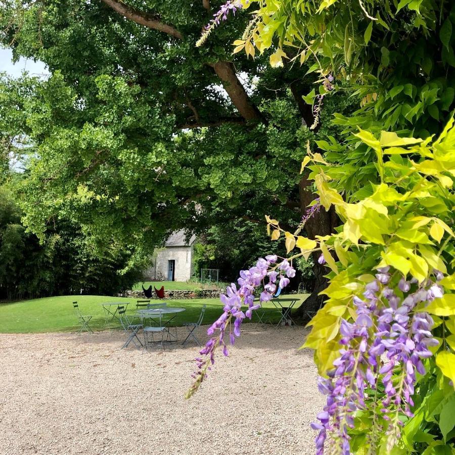 Domaine Saint-Hilaire Hotel เมิง-ซูร์-ลัวร์ ภายนอก รูปภาพ